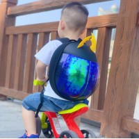 PURPLE GOLD BEETLE BACKPACK