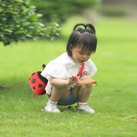 LADYBUG  SHOULDER BAG